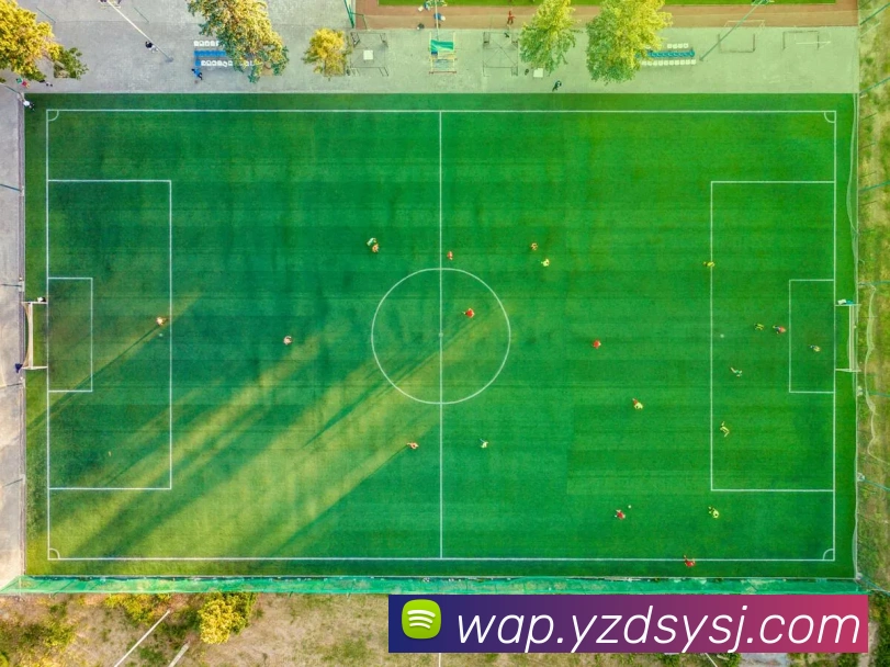 爱游戏ayx平台生态图