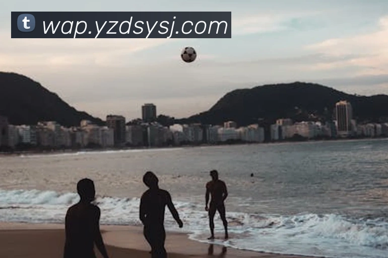 爱游戏ayxAPP 封面图